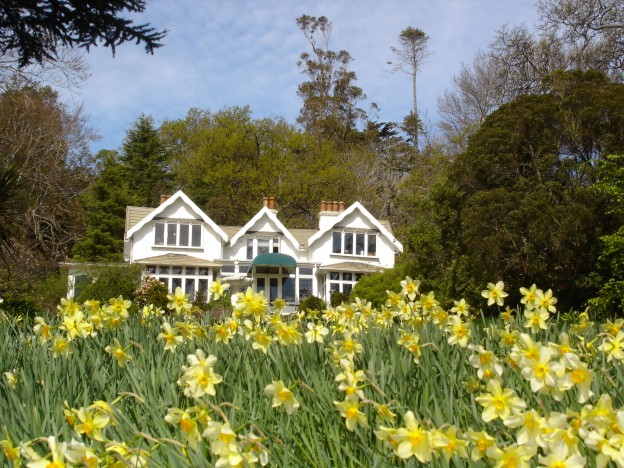 Art in the Homestead!