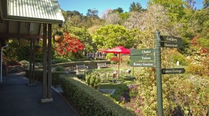 Glenfalloch as featured on Peter’s Pottery