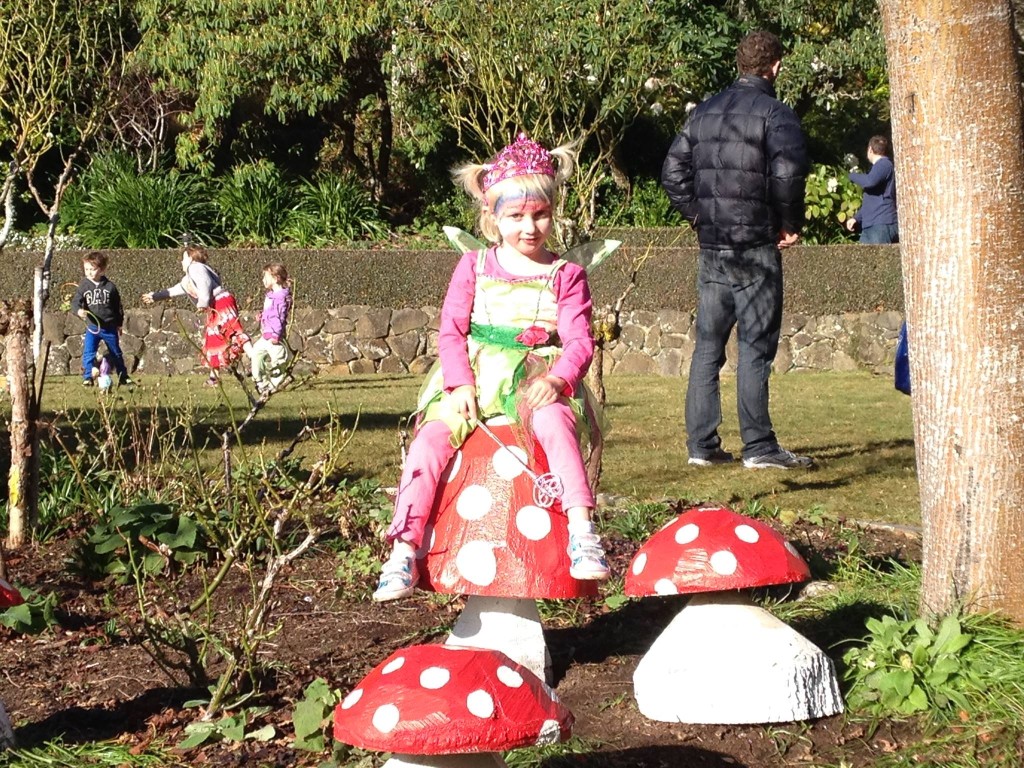 Cadbury Carnival Dunedin Glenfalloch Fairies Festival 2014