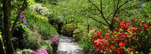Glenfalloch Gardens Otago Peninsula Dunedin
