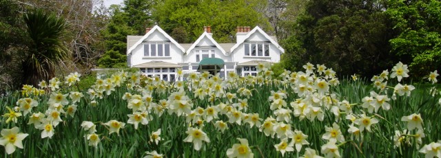 Glenfalloch Gardens Otago Peninsula Dunedin